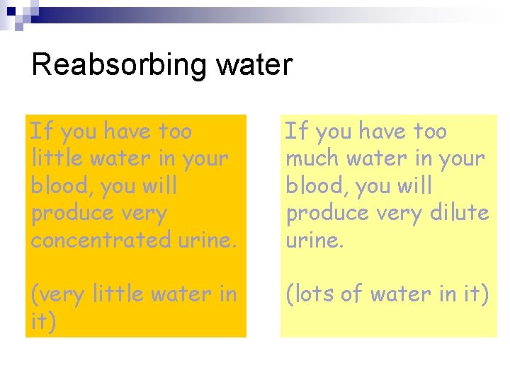 Reabsorbing water If you have too little water in your blood, you will produce