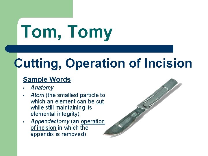 Tom, Tomy Cutting, Operation of Incision Sample Words: • • • Anatomy Atom (the