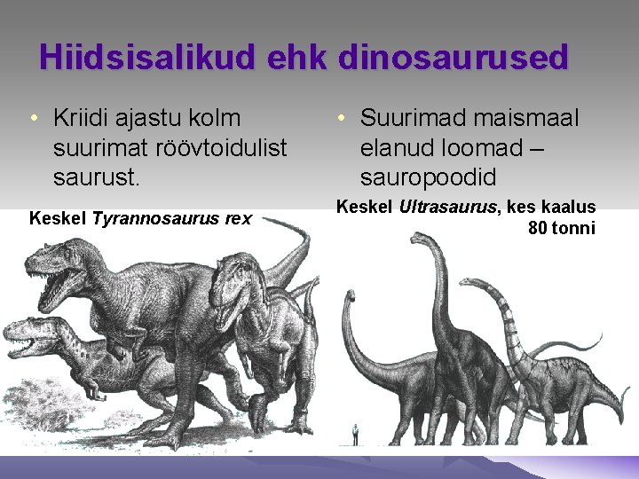 Hiidsisalikud ehk dinosaurused • Kriidi ajastu kolm suurimat röövtoidulist saurust. • Suurimad maismaal elanud Hiidsisalikud ehk dinosaurused • Kriidi ajastu kolm suurimat röövtoidulist saurust. • Suurimad maismaal elanud