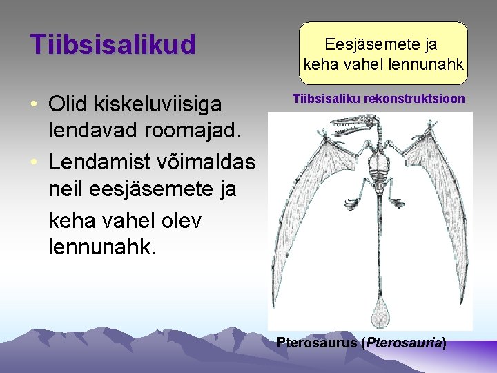 Tiibsisalikud • Olid kiskeluviisiga lendavad roomajad. • Lendamist võimaldas neil eesjäsemete ja keha vahel Tiibsisalikud • Olid kiskeluviisiga lendavad roomajad. • Lendamist võimaldas neil eesjäsemete ja keha vahel