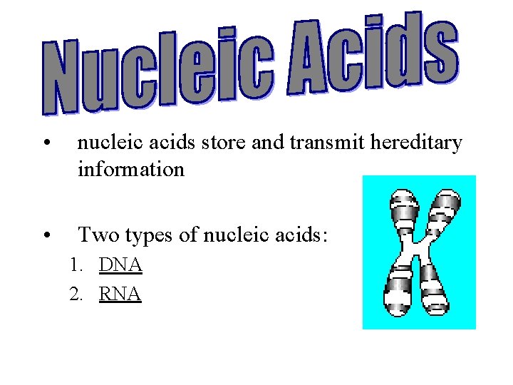  • nucleic acids store and transmit hereditary information • Two types of nucleic
