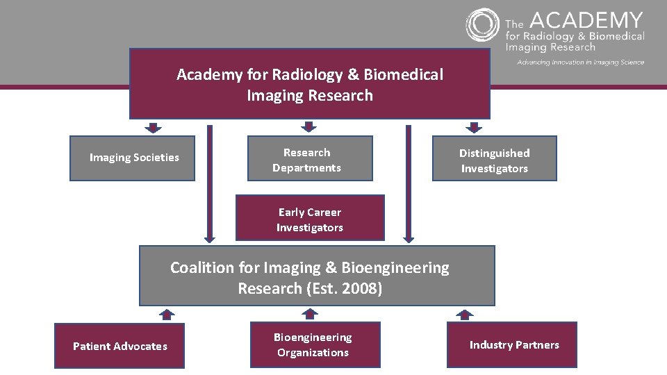 Academy for Radiology & Biomedical Imaging Research Imaging Societies Research Departments Distinguished Investigators Early