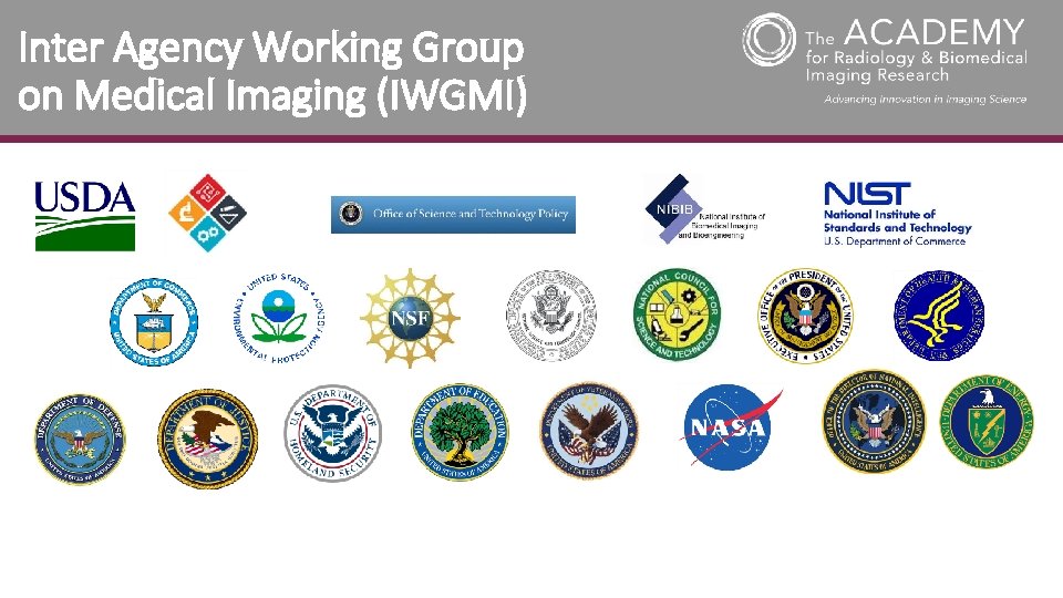 Inter Agency Working Group on Medical Imaging (IWGMI) 