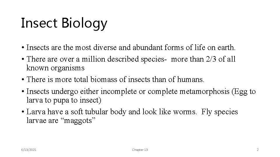 Insect Biology • Insects are the most diverse and abundant forms of life on