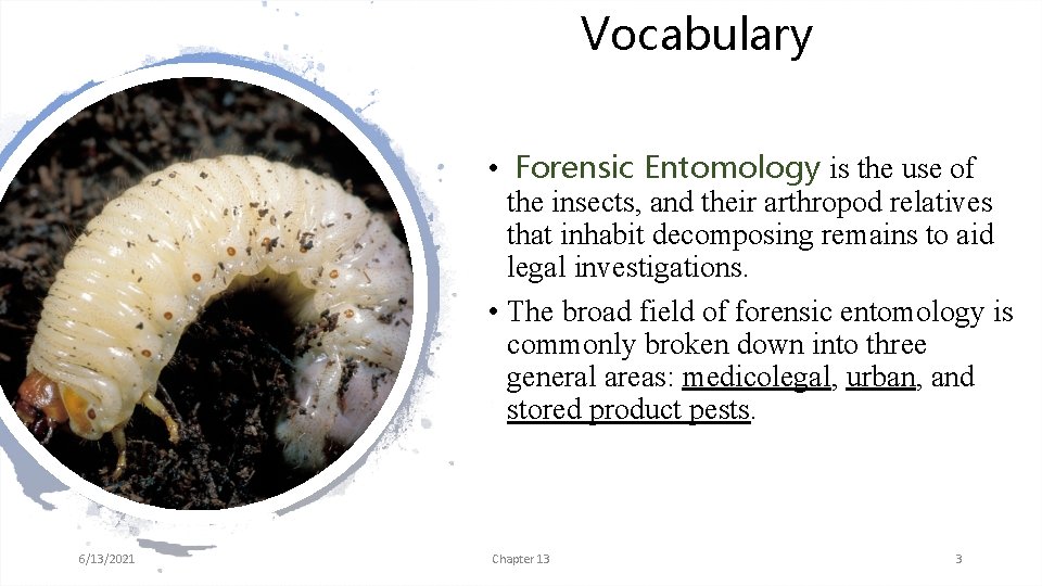 Vocabulary • Forensic Entomology is the use of the insects, and their arthropod relatives