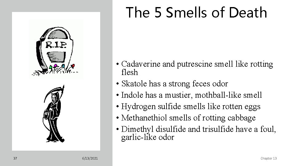 The 5 Smells of Death • Cadaverine and putrescine smell like rotting flesh •