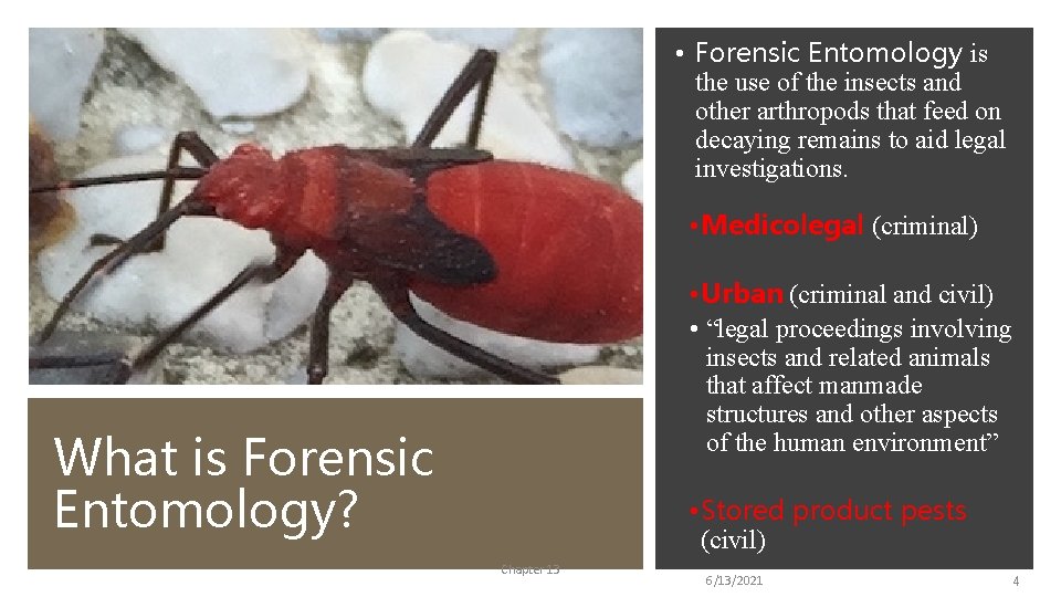  • Forensic Entomology is the use of the insects and other arthropods that