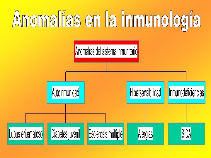 Introduccin a la inmunologa Diap 3 Esquema de