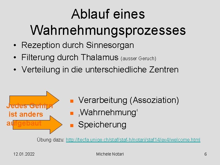 Ablauf eines Wahrnehmungsprozesses • Rezeption durch Sinnesorgan • Filterung durch Thalamus (ausser Geruch) •