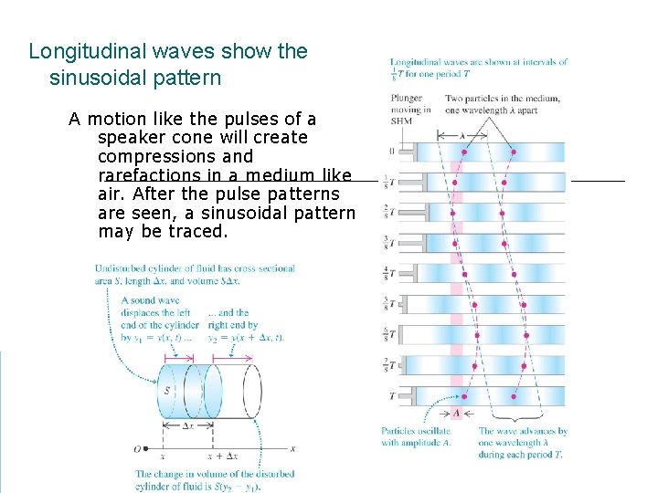 Longitudinal waves show the sinusoidal pattern A motion like the pulses of a speaker