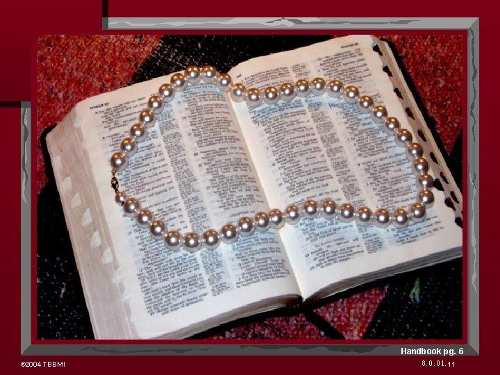 Handbook pg. 6 © 2004 TBBMI 8. 0. 01. 11 