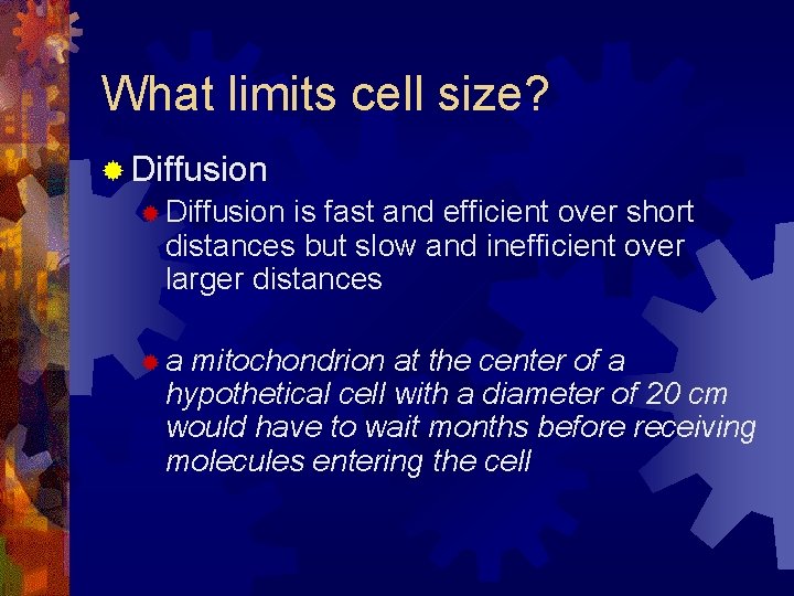 What limits cell size? ® Diffusion is fast and efficient over short distances but