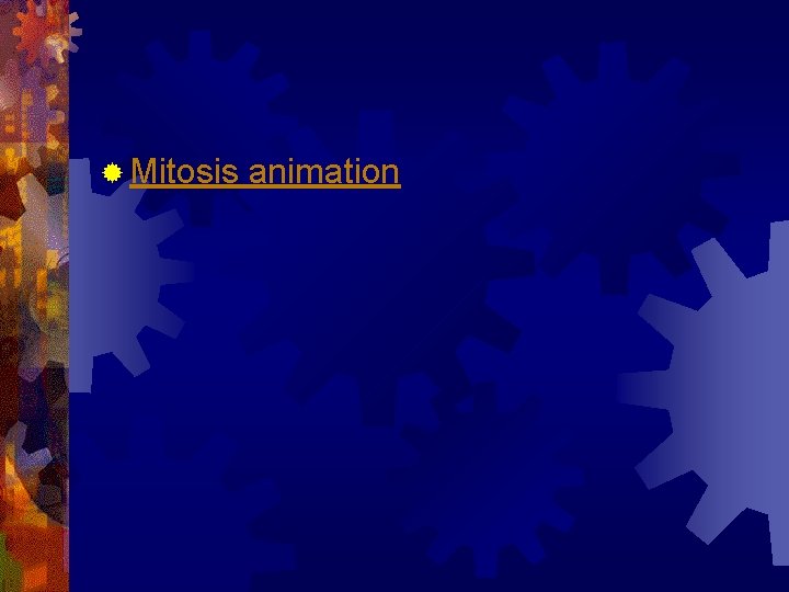 ® Mitosis animation 