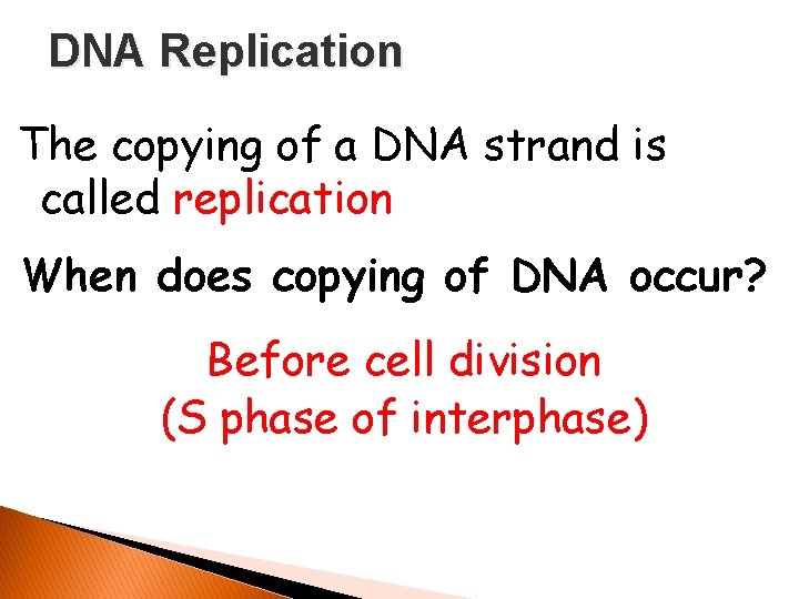 DNA Replication The copying of a DNA strand is called replication When does copying