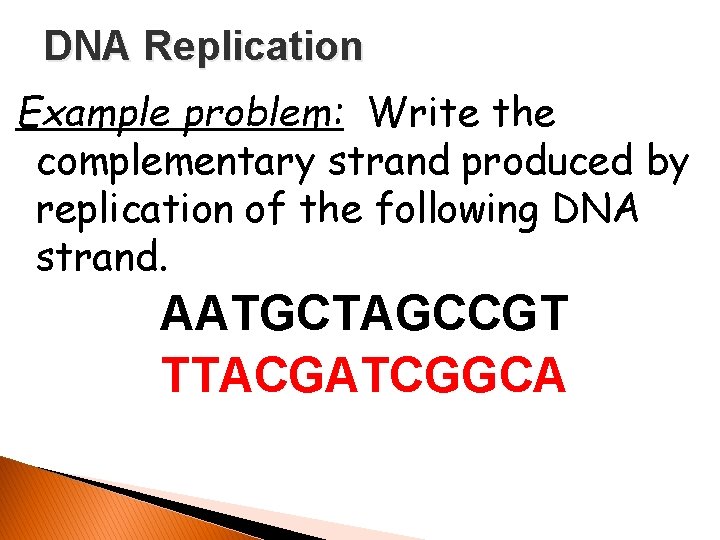 DNA Replication Example problem: Write the complementary strand produced by replication of the following