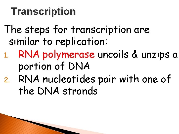 Transcription The steps for transcription are similar to replication: 1. RNA polymerase uncoils &