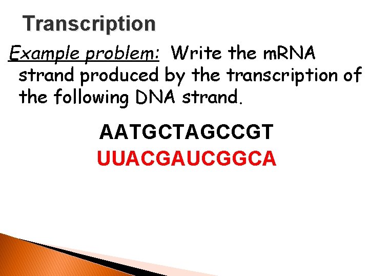 Transcription Example problem: Write the m. RNA strand produced by the transcription of the