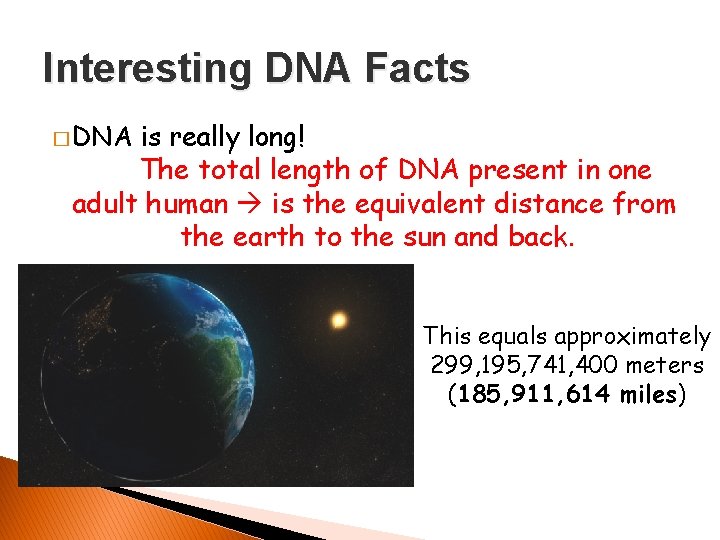 Interesting DNA Facts � DNA is really long! The total length of DNA present