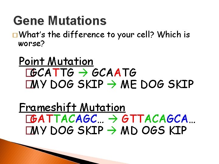 Gene Mutations � What’s worse? the difference to your cell? Which is Point Mutation