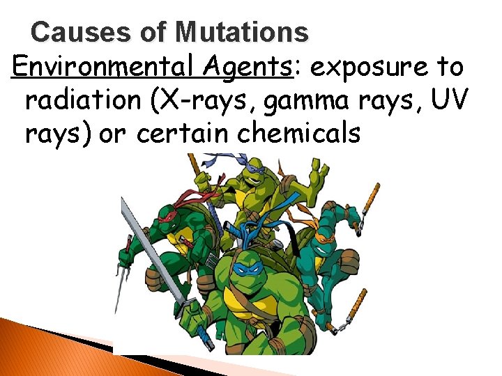 Causes of Mutations Environmental Agents: exposure to radiation (X-rays, gamma rays, UV rays) or