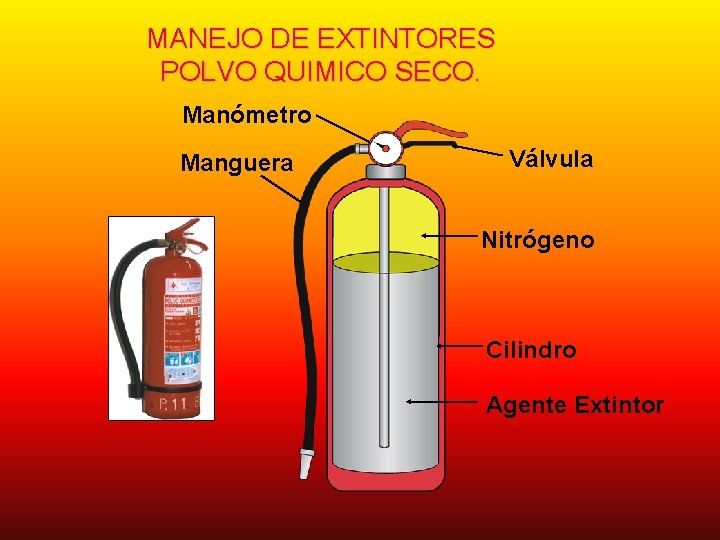 MANEJO DE EXTINTORES POLVO QUIMICO SECO. Manómetro Manguera Válvula Nitrógeno Cilindro Agente Extintor MANEJO DE EXTINTORES POLVO QUIMICO SECO. Manómetro Manguera Válvula Nitrógeno Cilindro Agente Extintor