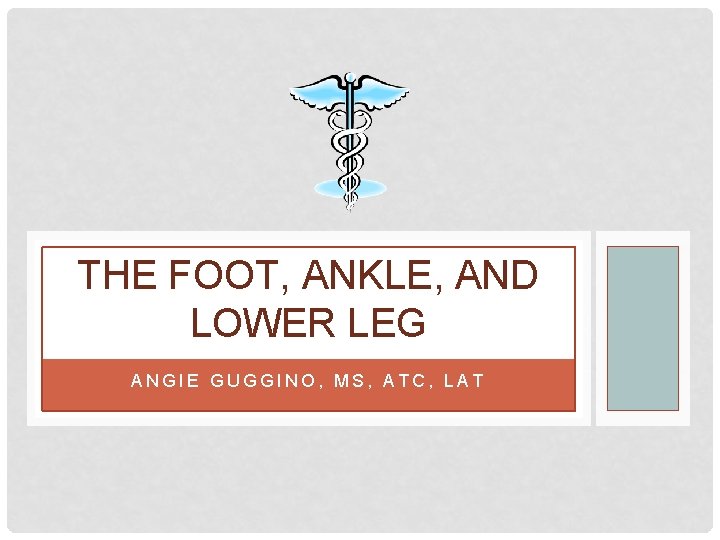 THE FOOT, ANKLE, AND LOWER LEG ANGIE GUGGINO, MS, ATC, LAT 