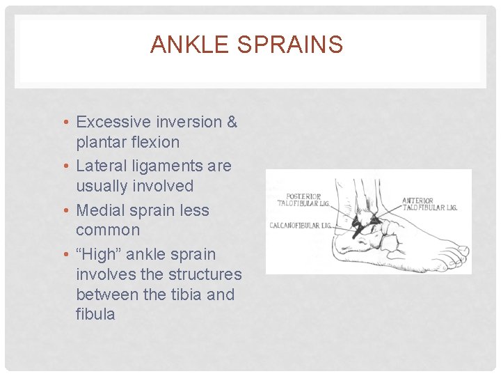 ANKLE SPRAINS • Excessive inversion & plantar flexion • Lateral ligaments are usually involved