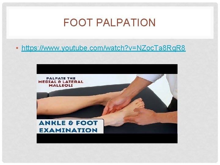 FOOT PALPATION • https: //www. youtube. com/watch? v=NZoc. Ta 8 Rq. R 8 