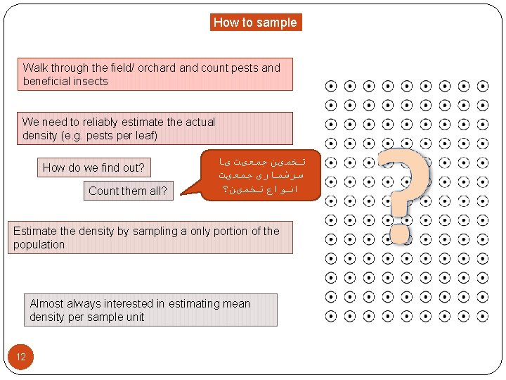 How to sample Walk through the field/ orchard and count pests and beneficial insects How to sample Walk through the field/ orchard and count pests and beneficial insects