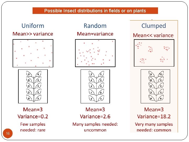 Possible Insect distributions in fields or on plants 16 Possible Insect distributions in fields or on plants 16