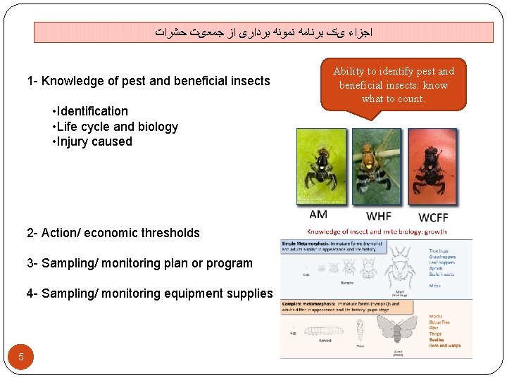 ﺍﺟﺰﺍﺀ یک ﺑﺮﻧﺎﻣﻪ ﻧﻤﻮﻧﻪ ﺑﺮﺩﺍﺭی ﺍﺯ ﺟﻤﻌیﺖ ﺣﺸﺮﺍﺕ 1 - Knowledge of pest ﺍﺟﺰﺍﺀ یک ﺑﺮﻧﺎﻣﻪ ﻧﻤﻮﻧﻪ ﺑﺮﺩﺍﺭی ﺍﺯ ﺟﻤﻌیﺖ ﺣﺸﺮﺍﺕ 1 - Knowledge of pest