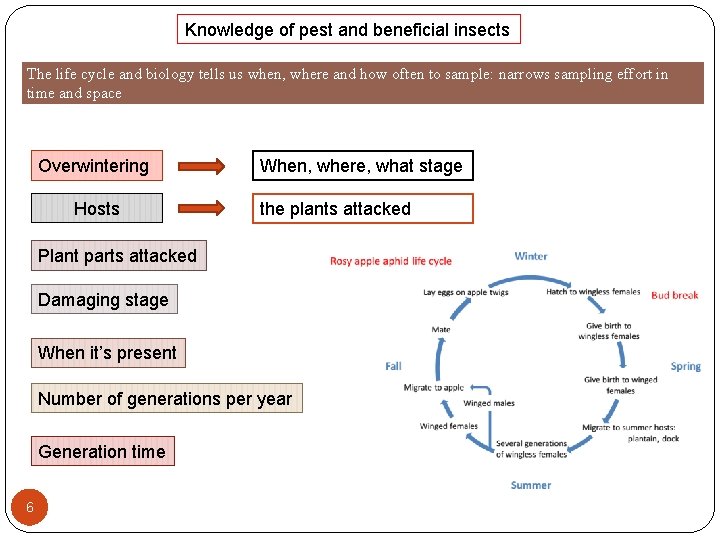 Knowledge of pest and beneficial insects The life cycle and biology tells us when, Knowledge of pest and beneficial insects The life cycle and biology tells us when,