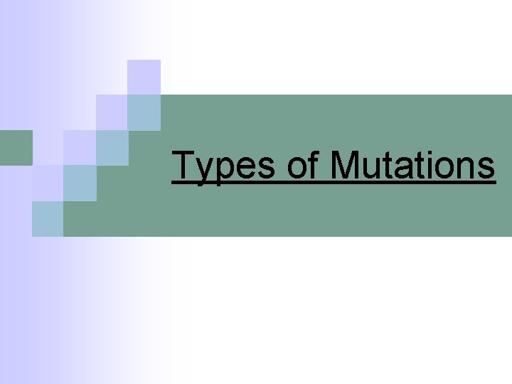 Types of Mutations 