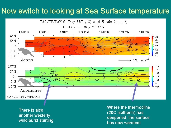 Now switch to looking at Sea Surface temperature There is also another westerly wind Now switch to looking at Sea Surface temperature There is also another westerly wind