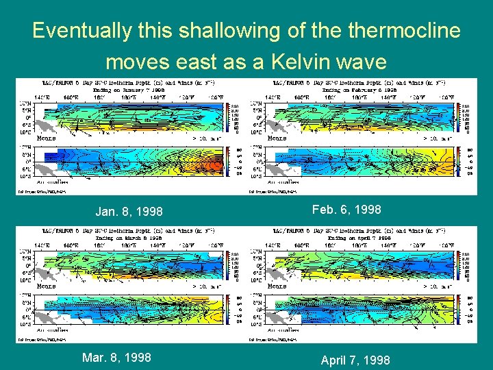 Eventually this shallowing of thermocline moves east as a Kelvin wave Jan. 8, 1998 Eventually this shallowing of thermocline moves east as a Kelvin wave Jan. 8, 1998