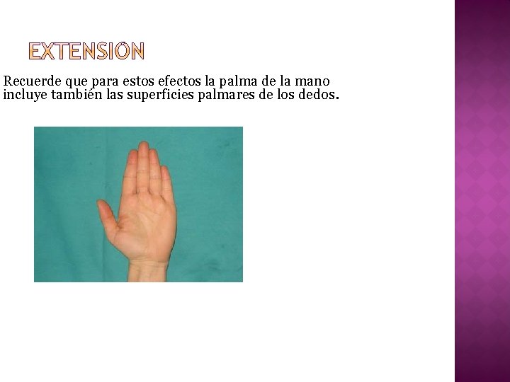 Recuerde que para estos efectos la palma de la mano incluye también las superficies