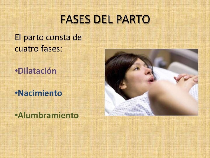 FASES DEL PARTO El parto consta de cuatro fases: • Dilatación • Nacimiento •