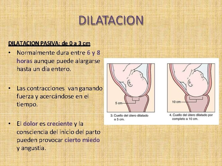 DILATACION PASIVA: de 0 a 3 cm • Normalmente dura entre 6 y 8
