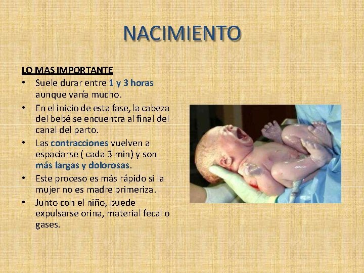 NACIMIENTO LO MAS IMPORTANTE • Suele durar entre 1 y 3 horas aunque varía