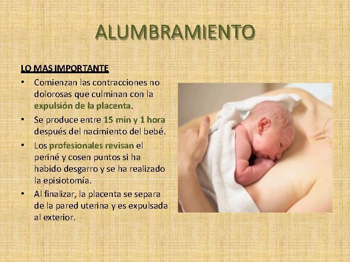 ALUMBRAMIENTO LO MAS IMPORTANTE • Comienzan las contracciones no dolorosas que culminan con la
