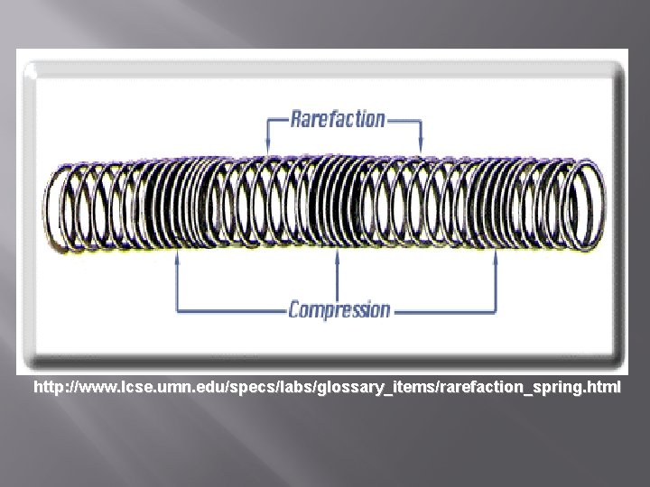 http: //www. lcse. umn. edu/specs/labs/glossary_items/rarefaction_spring. html 