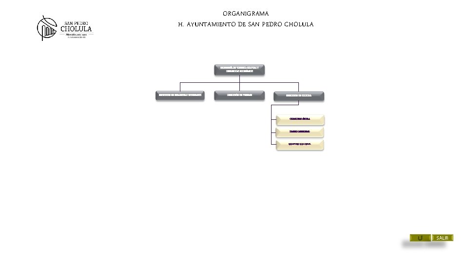 ORGANIGRAMA H. AYUNTAMIENTO DE SAN PEDRO CHOLULA SECRETARÍA DE TURISMO, CULTURA Y DESARROLLO ECONÓMICO ORGANIGRAMA H. AYUNTAMIENTO DE SAN PEDRO CHOLULA SECRETARÍA DE TURISMO, CULTURA Y DESARROLLO ECONÓMICO