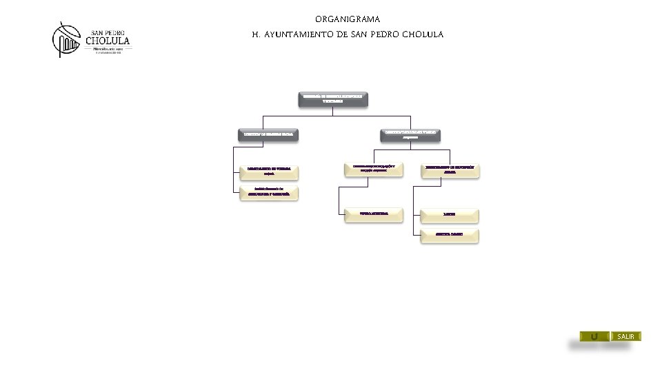 ORGANIGRAMA H. AYUNTAMIENTO DE SAN PEDRO CHOLULA SECRETARÍA DE BIENESTAR SUSTENTABLE Y SOSTENIBLE DIRECCIÓN ORGANIGRAMA H. AYUNTAMIENTO DE SAN PEDRO CHOLULA SECRETARÍA DE BIENESTAR SUSTENTABLE Y SOSTENIBLE DIRECCIÓN