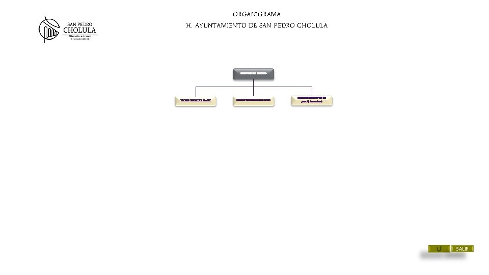 ORGANIGRAMA H. AYUNTAMIENTO DE SAN PEDRO CHOLULA DIRECCIÓN DE DEPORTE UNIDAD DEPORTIVA TLACHI UNIDAD ORGANIGRAMA H. AYUNTAMIENTO DE SAN PEDRO CHOLULA DIRECCIÓN DE DEPORTE UNIDAD DEPORTIVA TLACHI UNIDAD