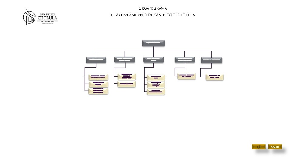 ORGANIGRAMA H. AYUNTAMIENTO DE SAN PEDRO CHOLULA SECRETARÍA DE FINANZAS DIRECCIÓN DE INGRESOS DIRECCIÓN ORGANIGRAMA H. AYUNTAMIENTO DE SAN PEDRO CHOLULA SECRETARÍA DE FINANZAS DIRECCIÓN DE INGRESOS DIRECCIÓN