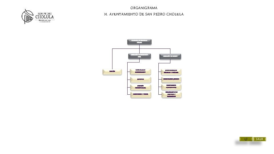 ORGANIGRAMA H. AYUNTAMIENTO DE SAN PEDRO CHOLULA COMISARÍA DE SEGURIDAD PÚBLICA DIRECCIÓN DE PROTECCIÓN ORGANIGRAMA H. AYUNTAMIENTO DE SAN PEDRO CHOLULA COMISARÍA DE SEGURIDAD PÚBLICA DIRECCIÓN DE PROTECCIÓN