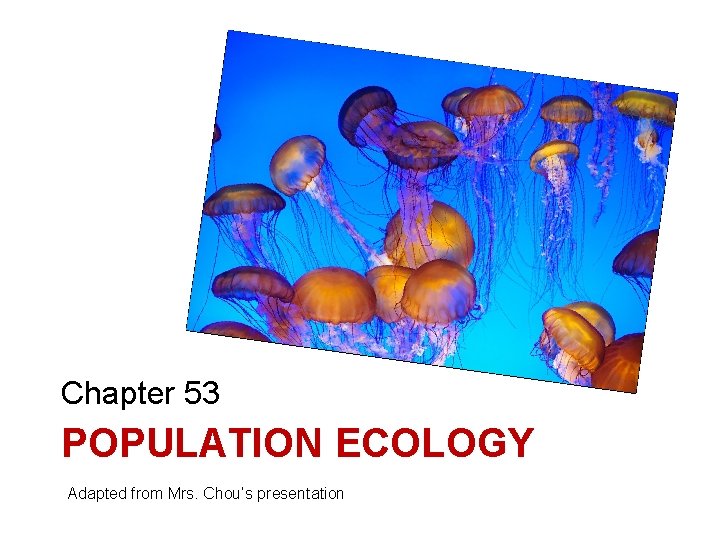 Chapter 53 POPULATION ECOLOGY Adapted from Mrs. Chou’s presentation 