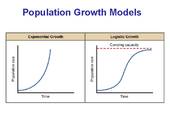 Population Growth Models 