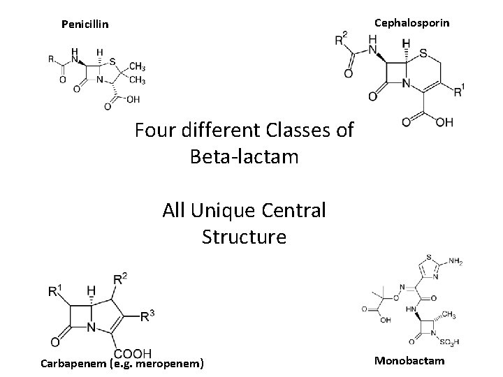 Cephalosporin Penicillin Four different Classes of Beta-lactam All Unique Central Structure Carbapenem (e. g.