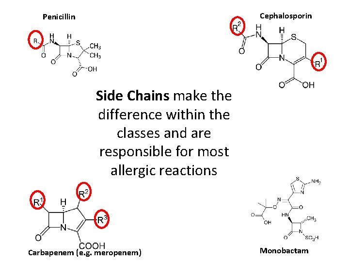 Cephalosporin Penicillin Side Chains make the difference within the classes and are responsible for